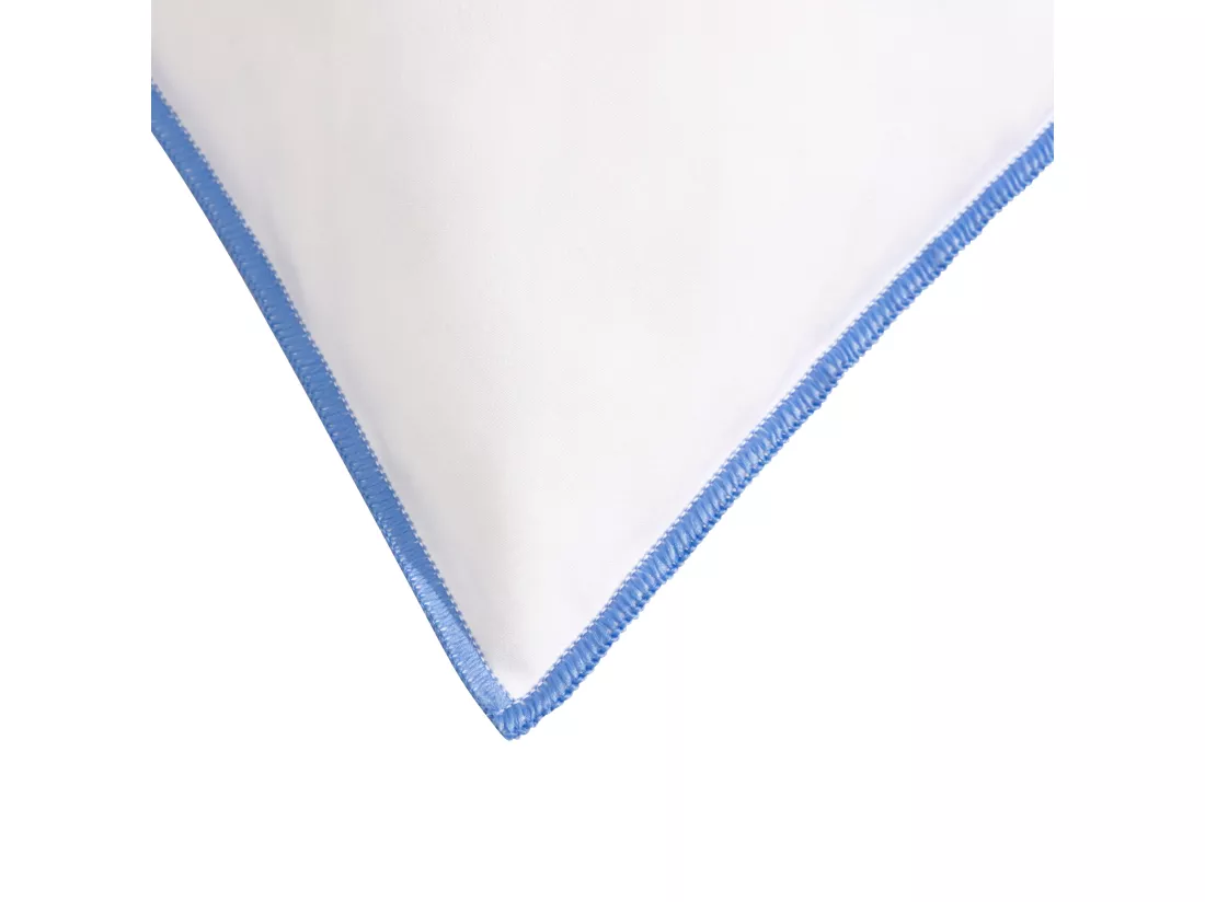 Lot de 2 oreillers moelleux duvet de canard anti-allergènes Someo 65x65