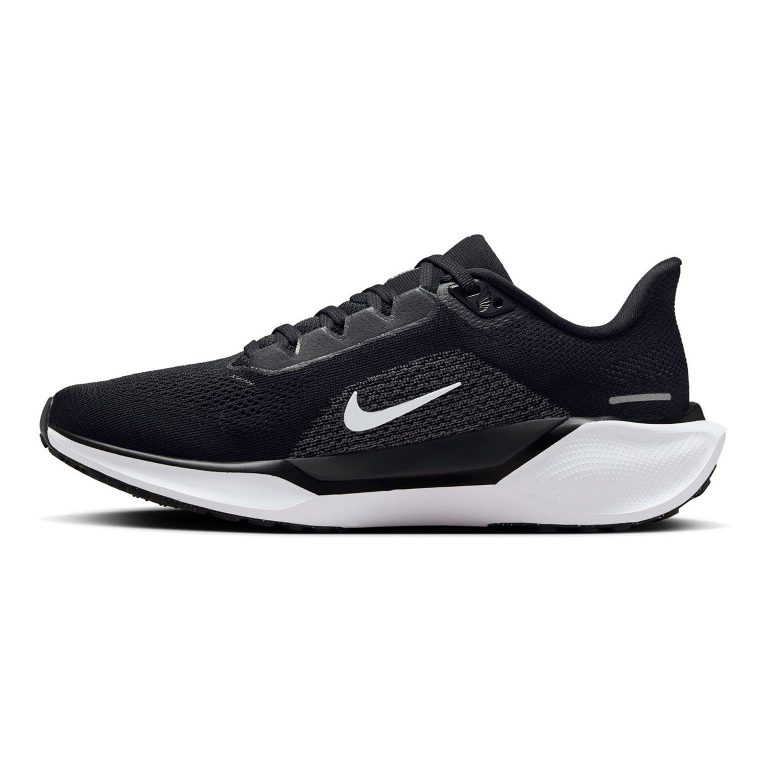 Nike  Pegasus 41 Dames