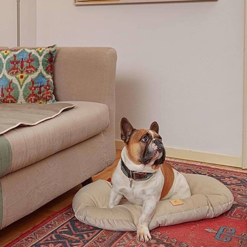 Cama para animais de estimação Ferplast Stuart bege