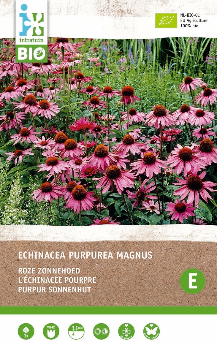 Intratuin biologische vaste plant Zonnehoed (Echinacea 'Magnus Rosa')