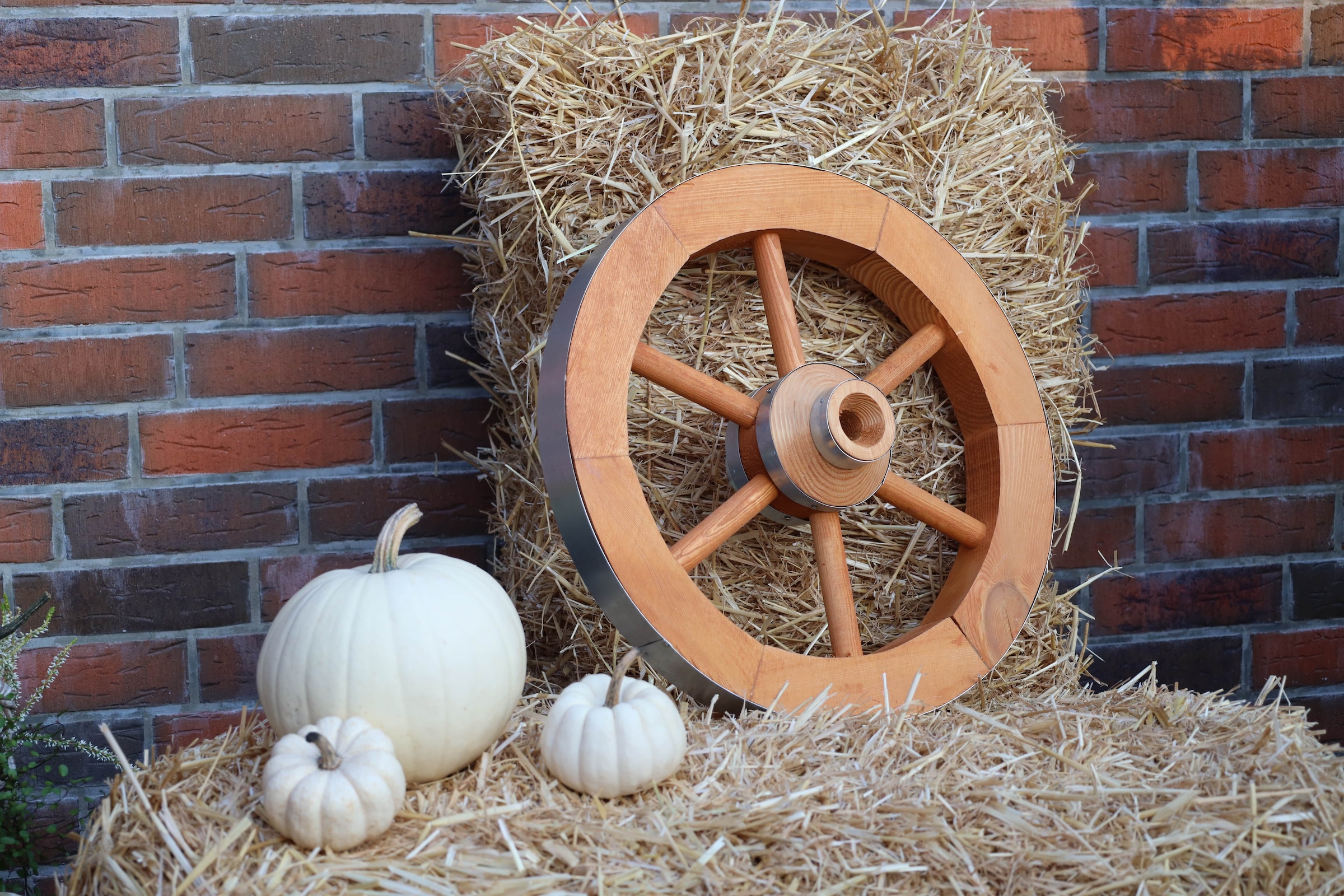 promadino Gartenfigur »Wagenrad« BxLxH: 50x14x50 cm