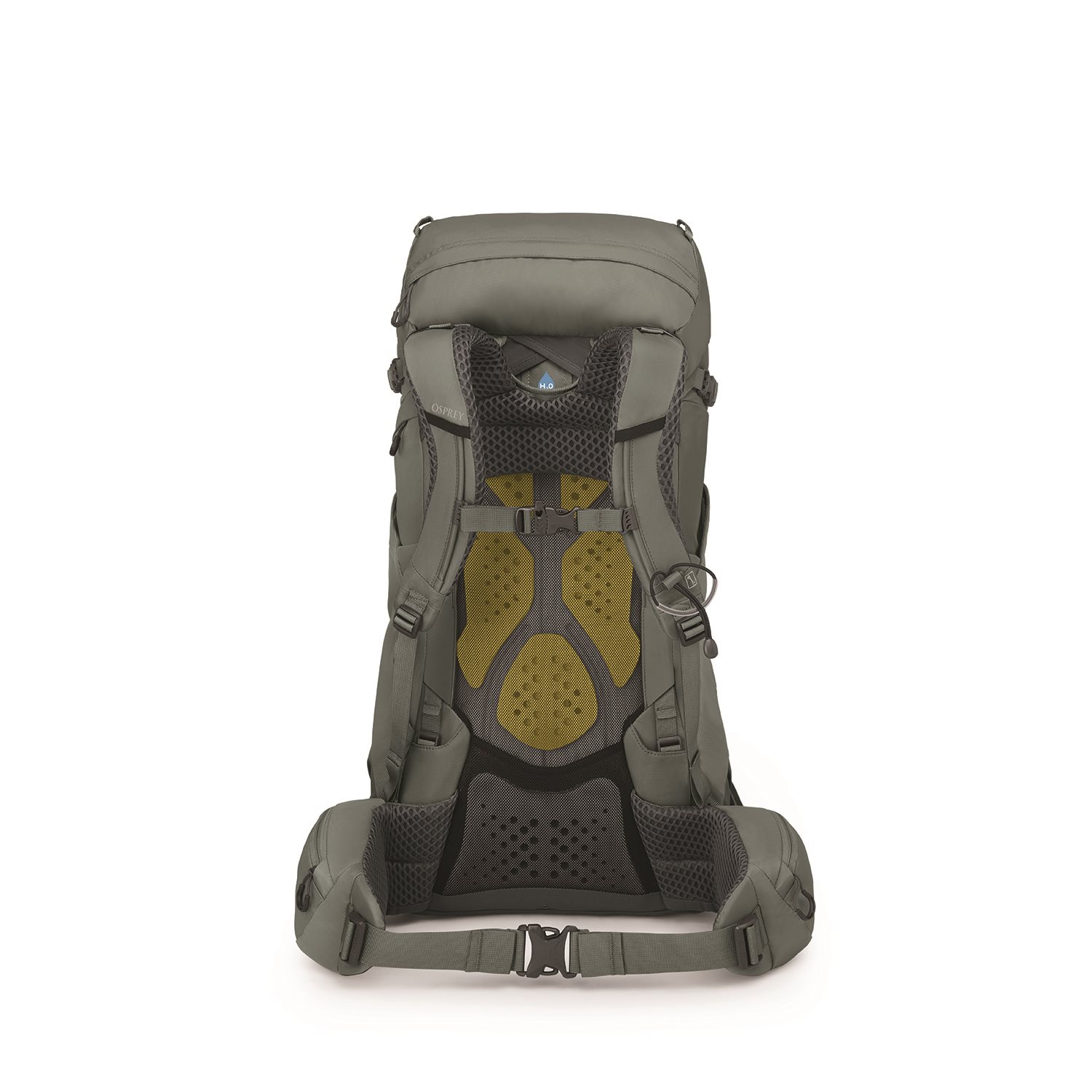 Osprey Kyte 38 WM/L rocky brook green
