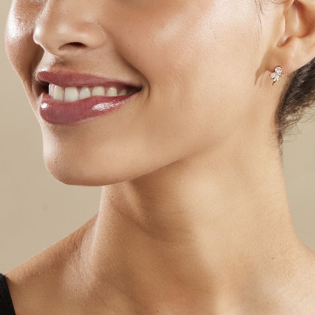 Bijoux D'oreilles Alexine Or Jaune Oxyde De Zirconium