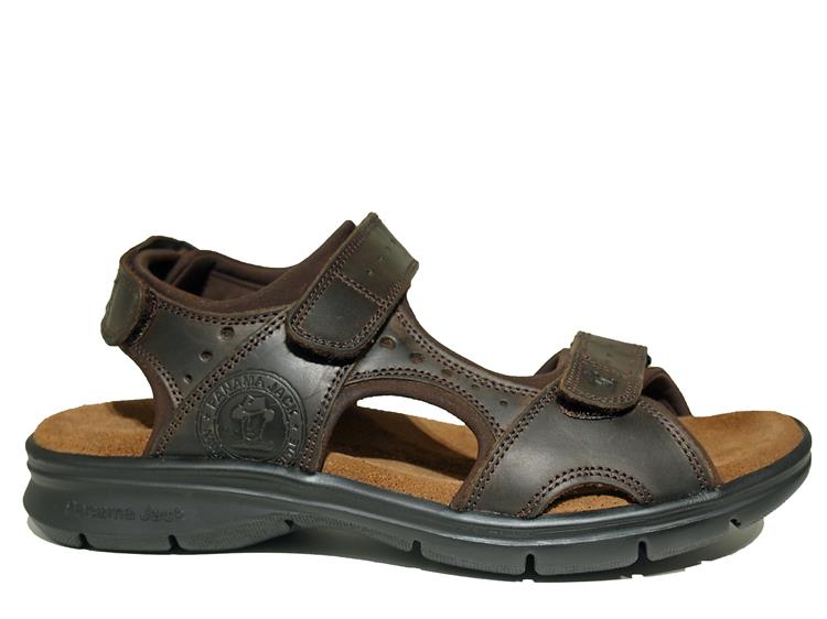 Panama Jack Salton Basics Napa Grass Marron/Bruin