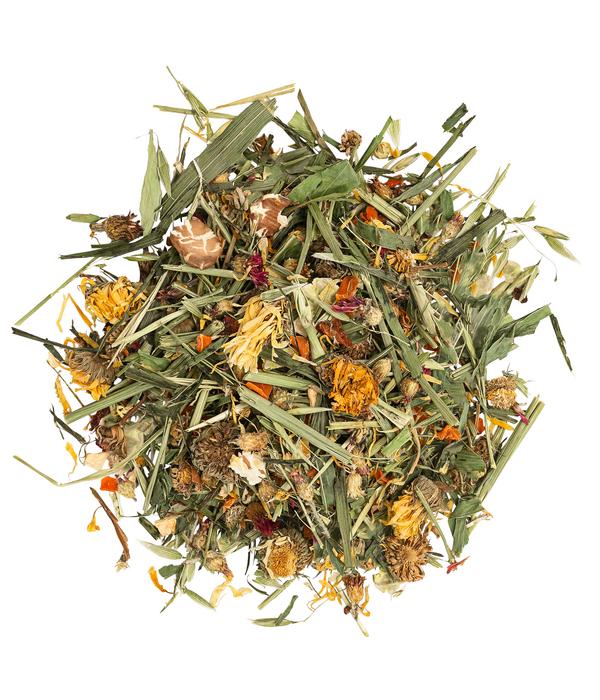 Dehner Lieblinge Gemüse-Garten, 6x150 g