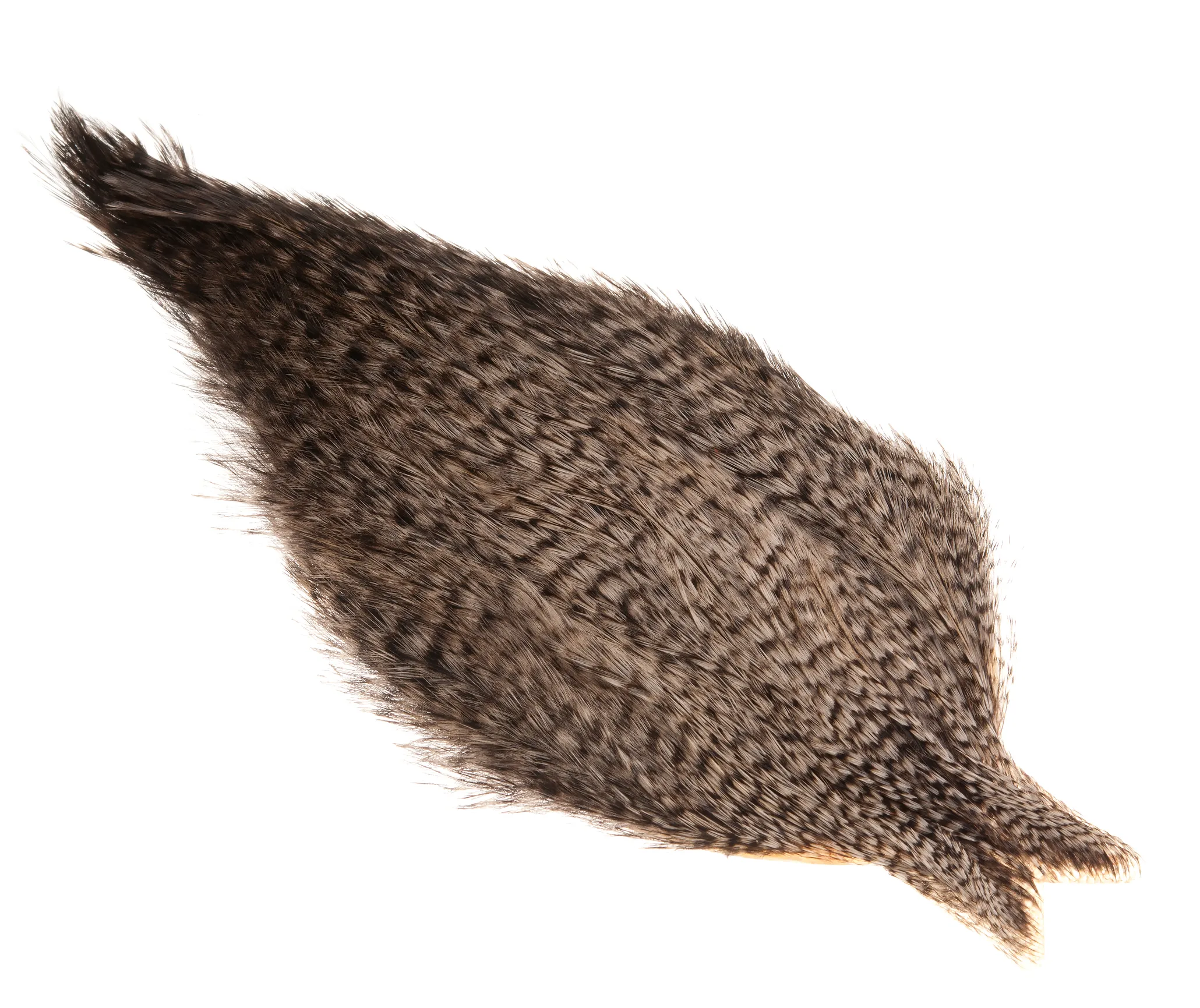 Whiting Coq De Leon Rooster Cape
