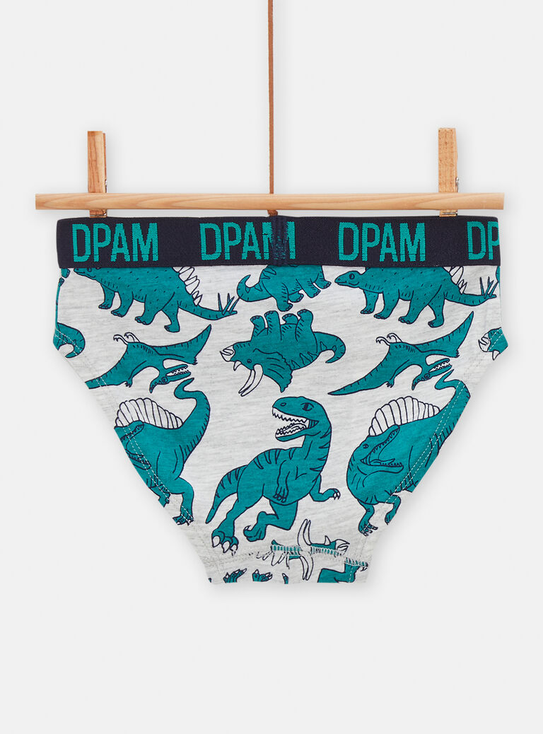Lot de 5 slips imprimés dinosaures pour garçon