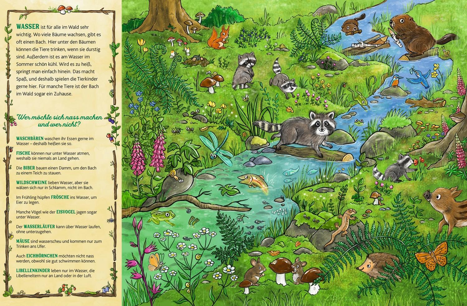 Das große Wald-Wimmelbuch