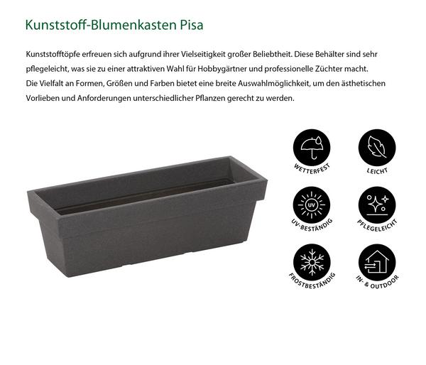 Dehner Kunststoff-Blumenkasten Pisa, ca.