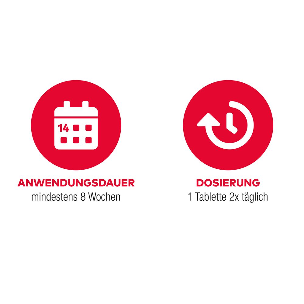 Ginkgo AL 120 mg Filmtabletten bei altersbedingten Gedächtniseinbußen mit leichter Demenz - Jetzt 10% Rabatt mit dem Code 