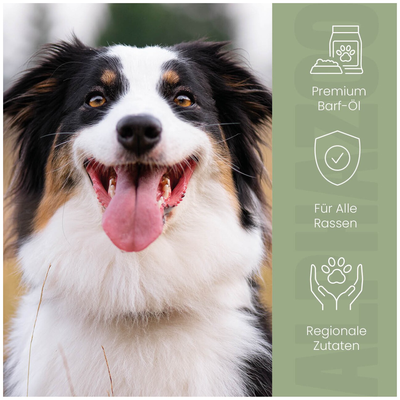 ALPHAZOO Alpha Barf Futteröl für Hunde I Omega 3 6 9 zum Barfen