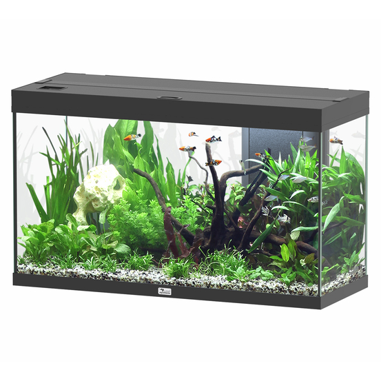 Aquarium équipé Splendid Led 2.0 Noir L.100xP.40xH.61cm