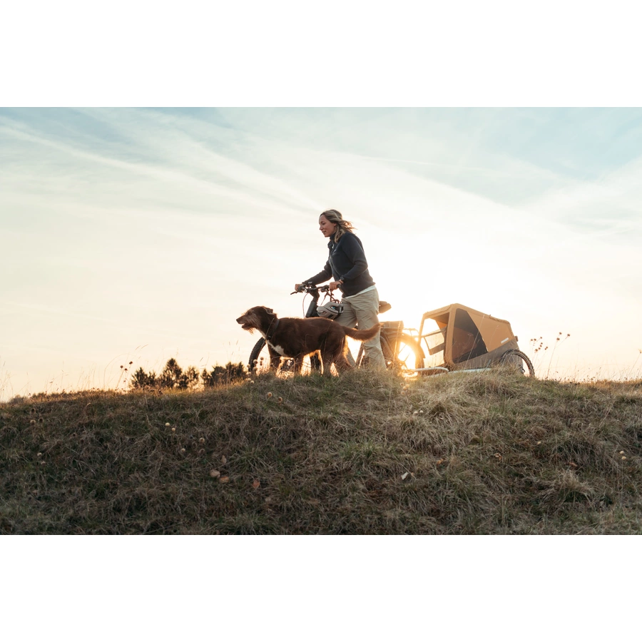 CROOZER Hundeanhänger Dog Mikke Colourful Journey