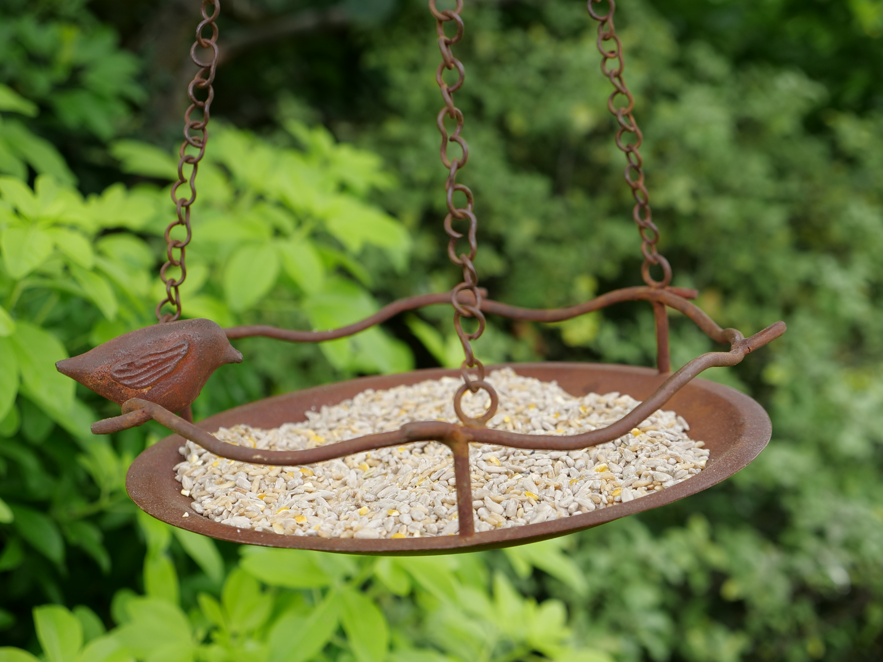 Mangeoire à oiseaux suspendue Bagpath