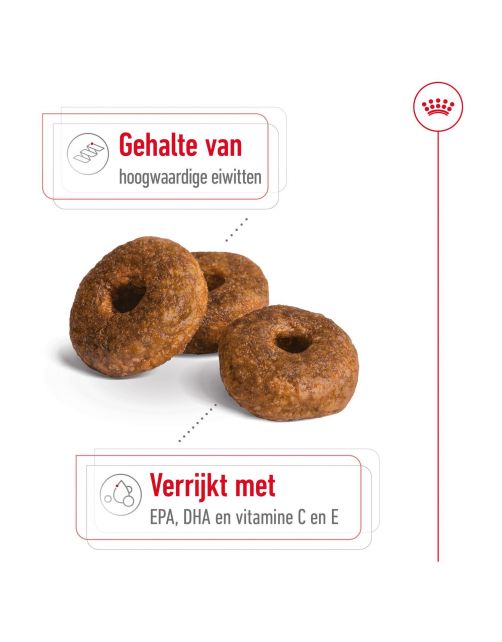 Royal Canin Medium Ageing 10+ - Hondenvoer