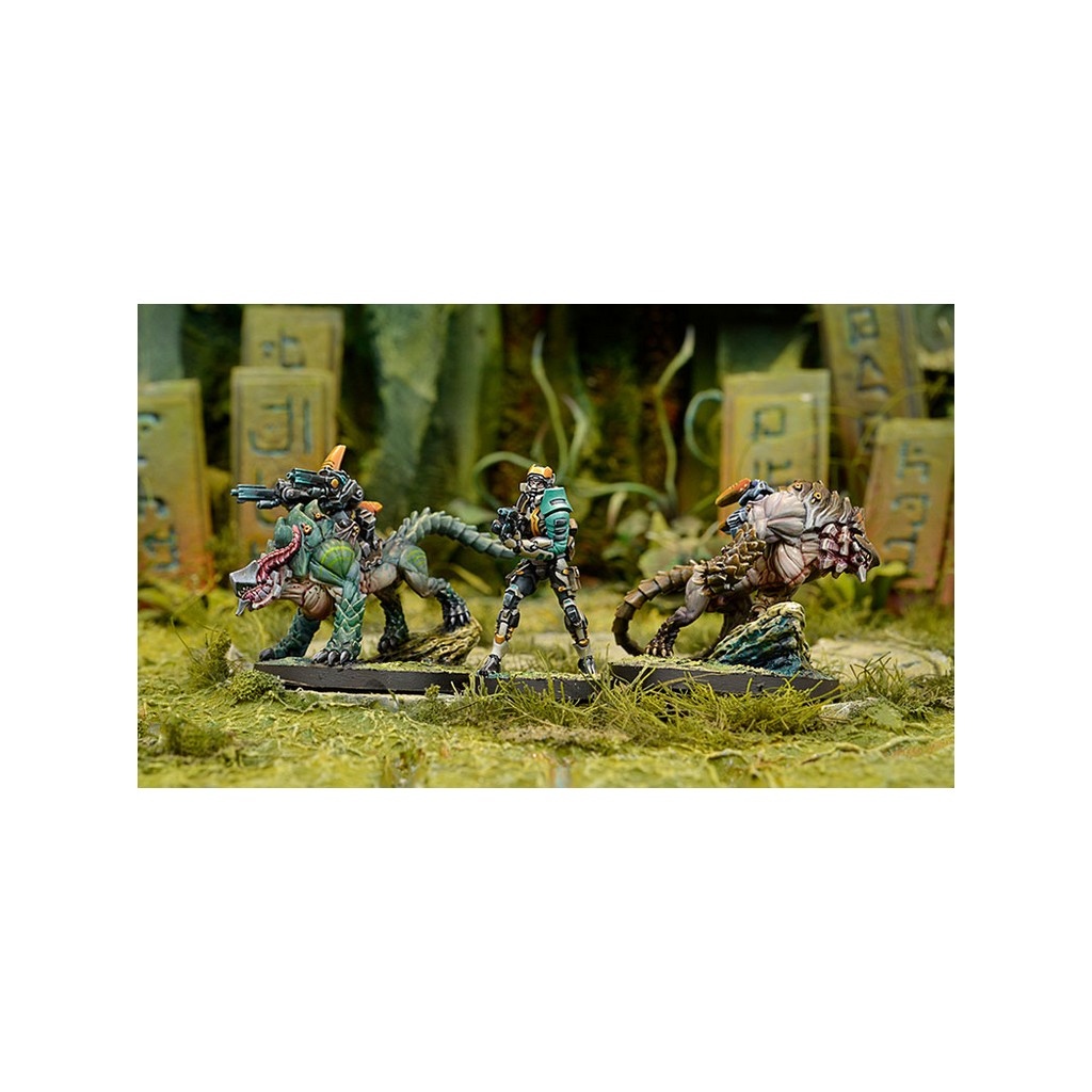 Infinity - Tohaa - Kerail Preceptors