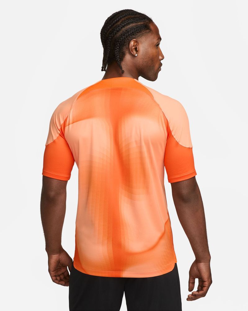 Maillot de gardien Nike Gardien IV pour homme