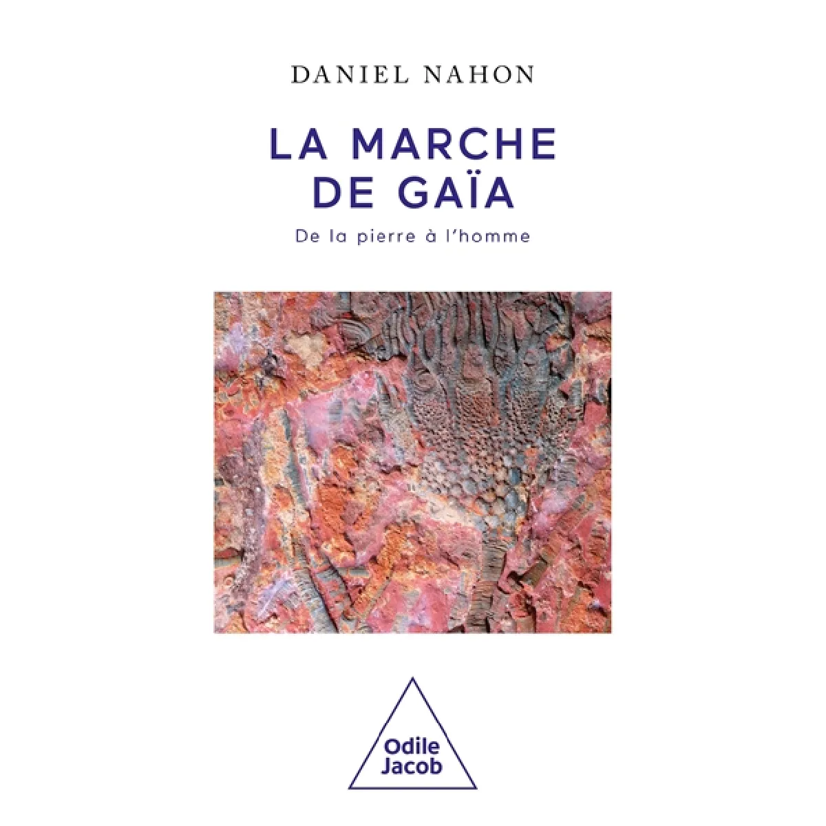 La marche de Gaïa : de la pierre à l'homme · Occasion