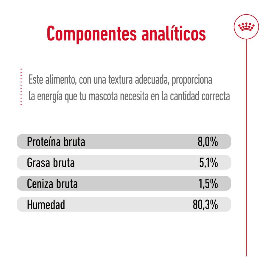 Sachês Royal Canin Mini 12+ para cães idosos em molho.