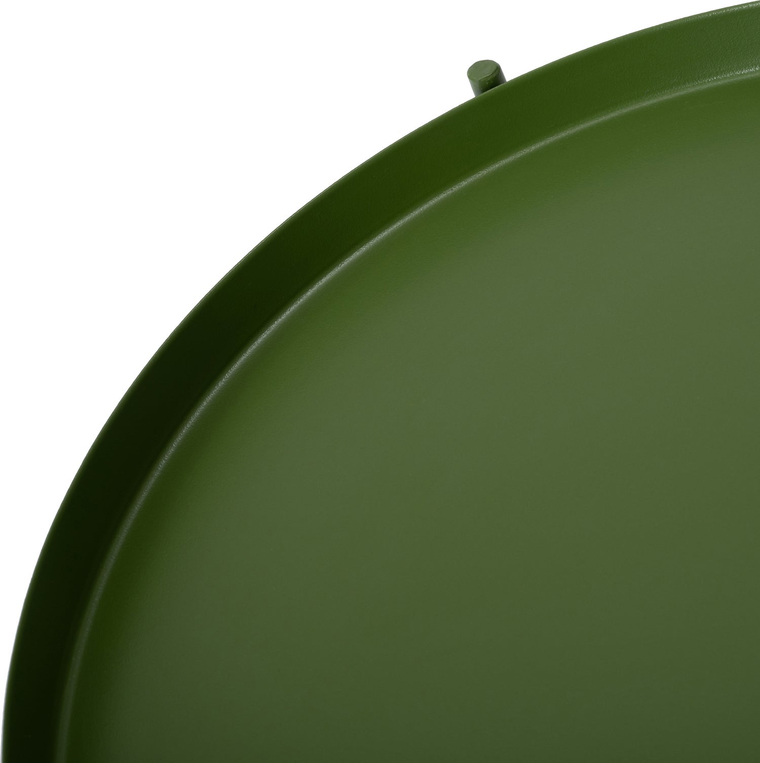 Intratuin plantentafel Salix groen D 27 H 57,5 cm