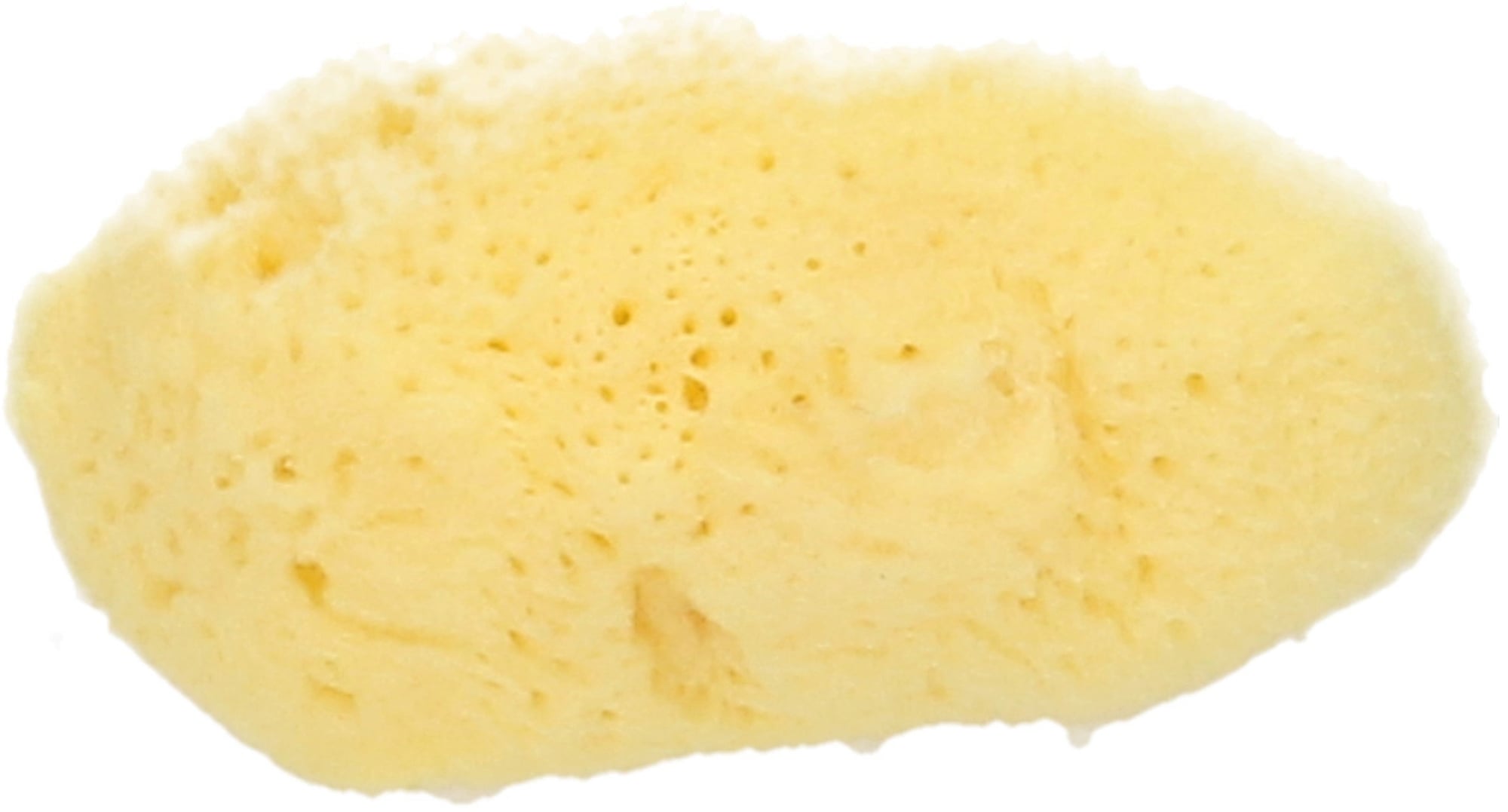 Koutouzis Natural Sea Sponges  Naturschwamm 