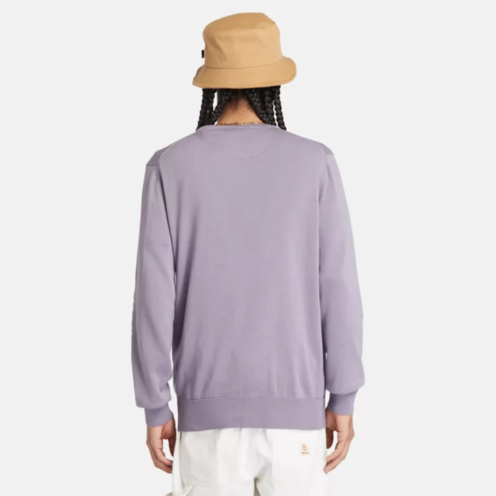 Pull à col rond Williams River pour homme en violet