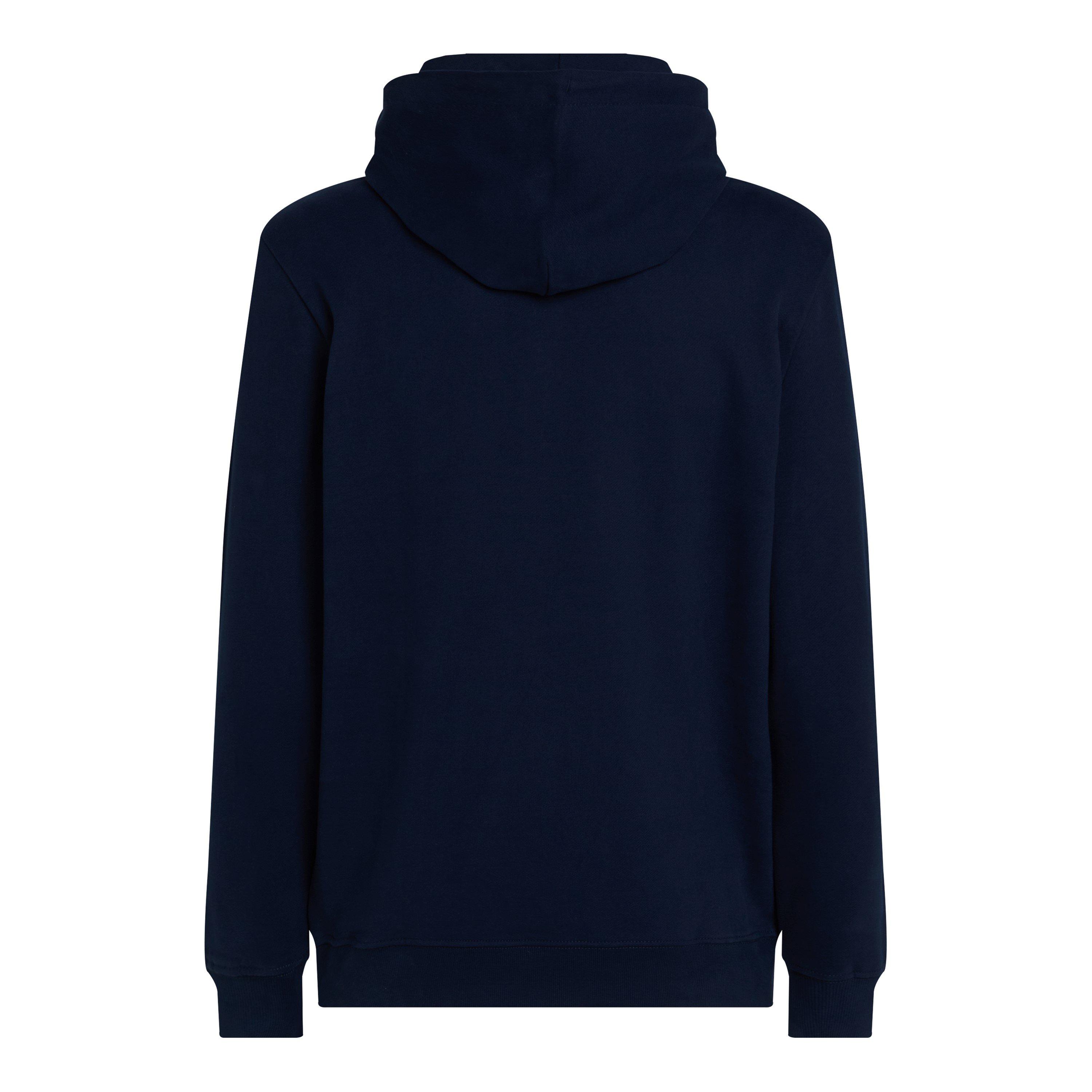 Tommy Jeans TJM REG ENTRY GRAPHIC HOODIE EXT