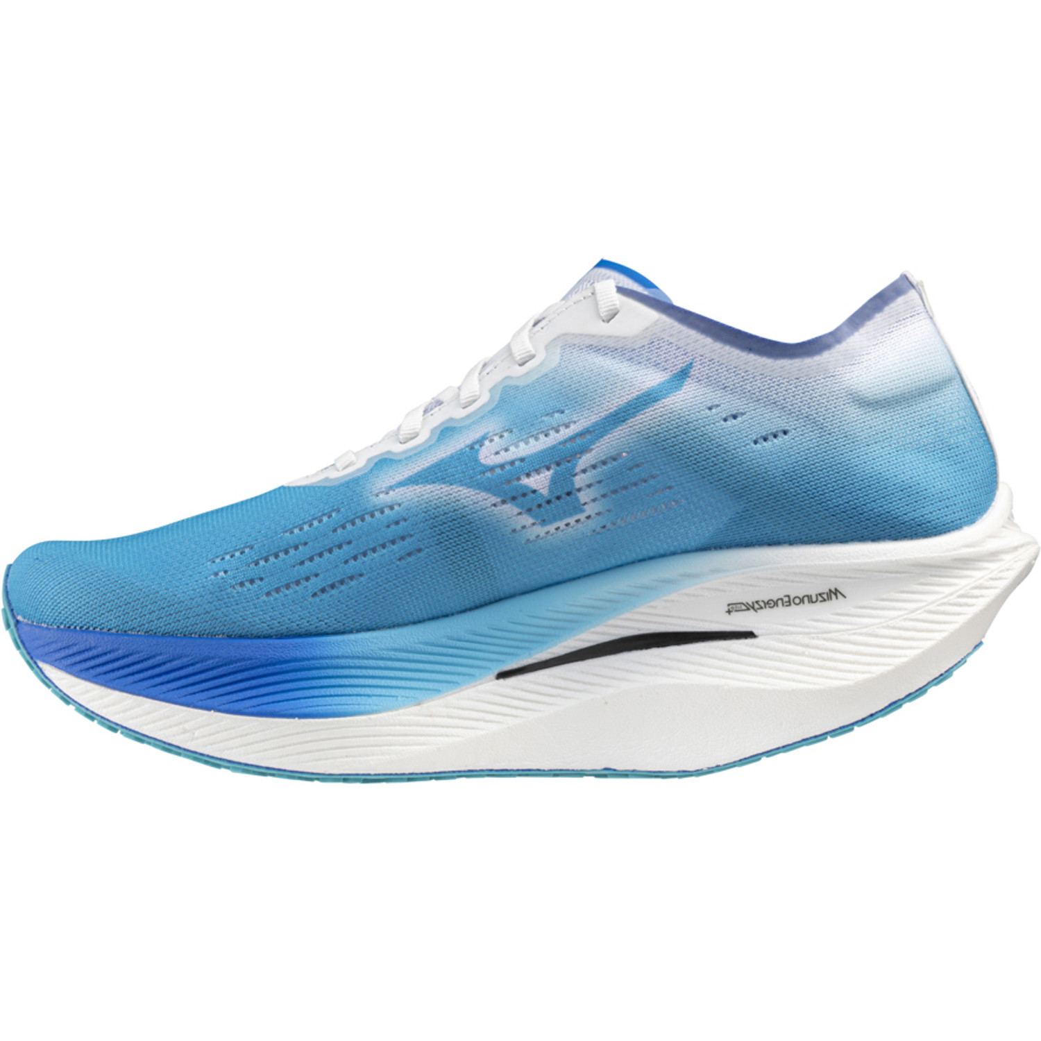 Mizuno Wave Rebellion Pro 2 Heren
