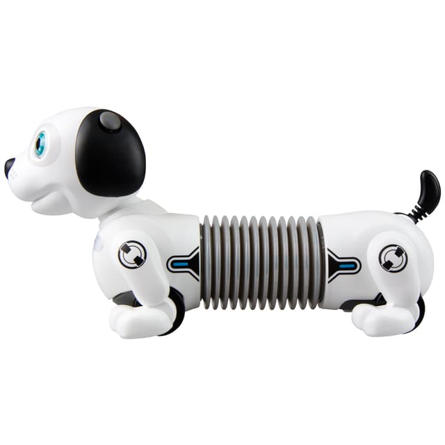 Junior Robo Dackel