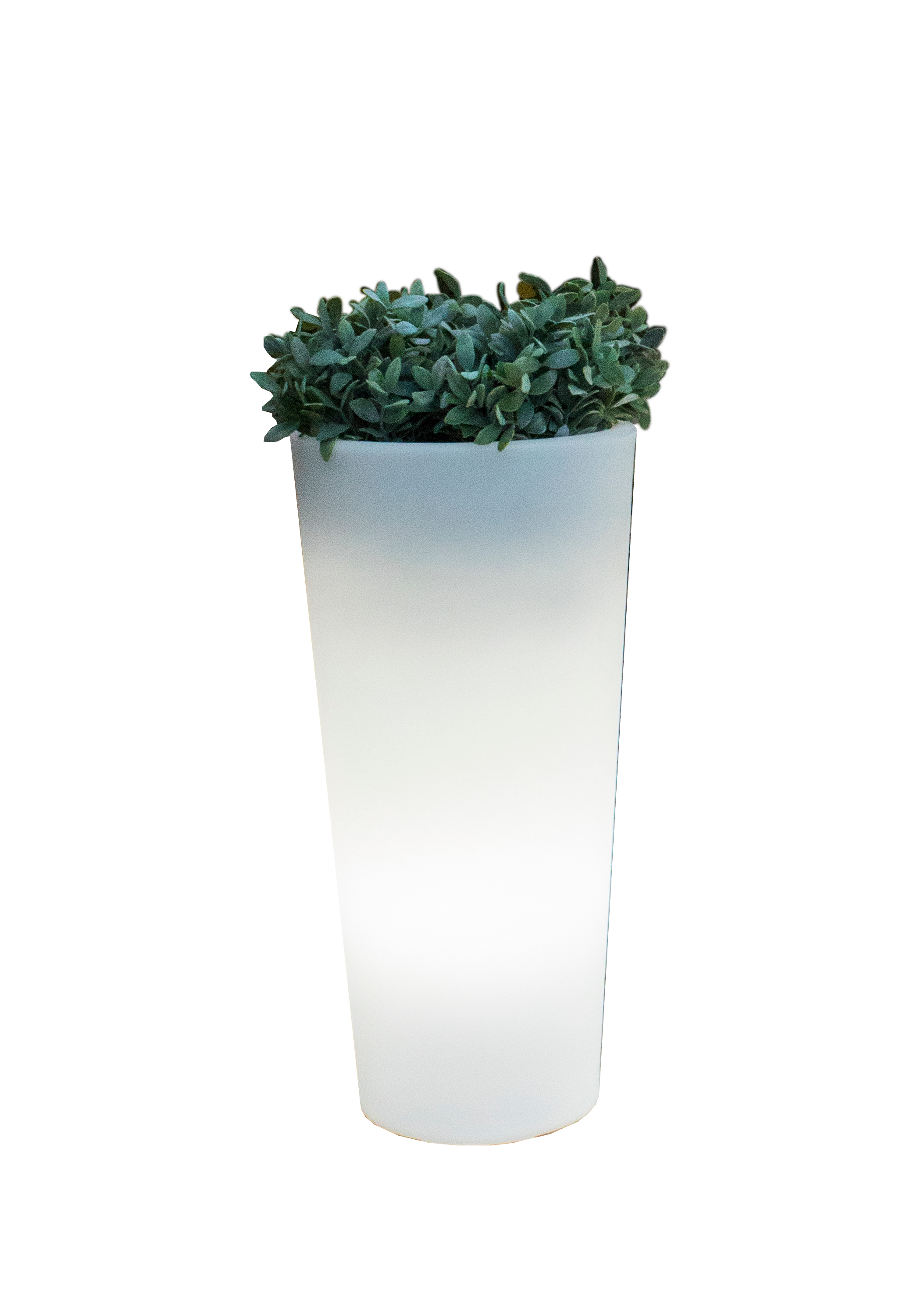 Pot lumineux ficus 60 solaire+batterie rechargeable led rgb avec télécommande ø29x59cm