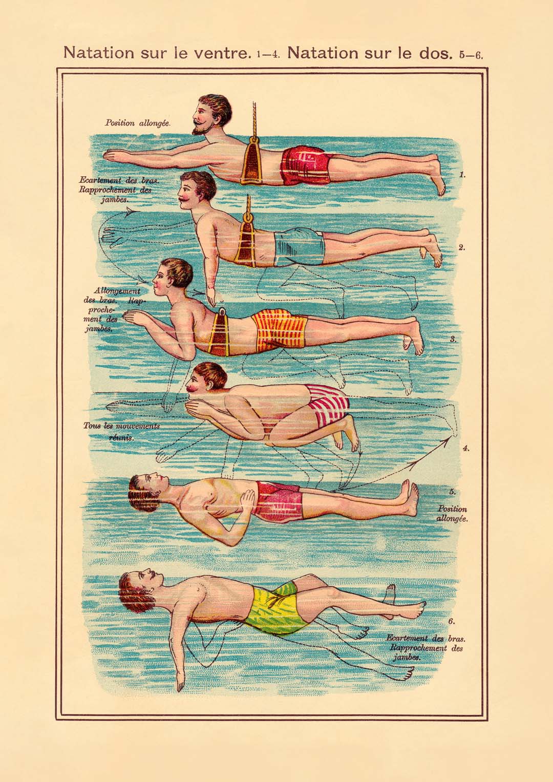 Der Schwimmer