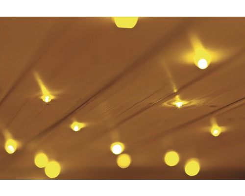 Sterrenhemel LED Caribou