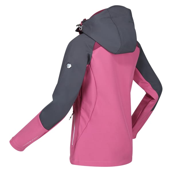 Softshell randonnée REGATTA W DESOTO VIII SLGRY/AMARHZ