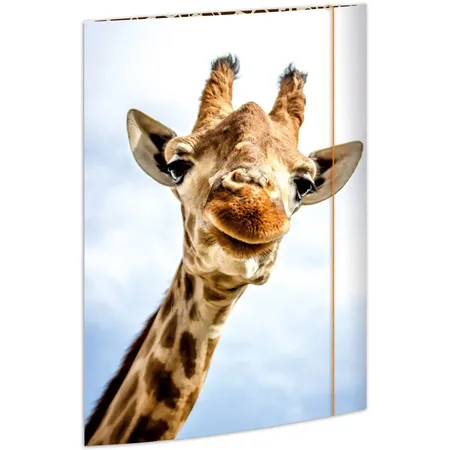 RNK Verlag Zeichenmappe aus stabilem Karton, “Safari” für DIN A3