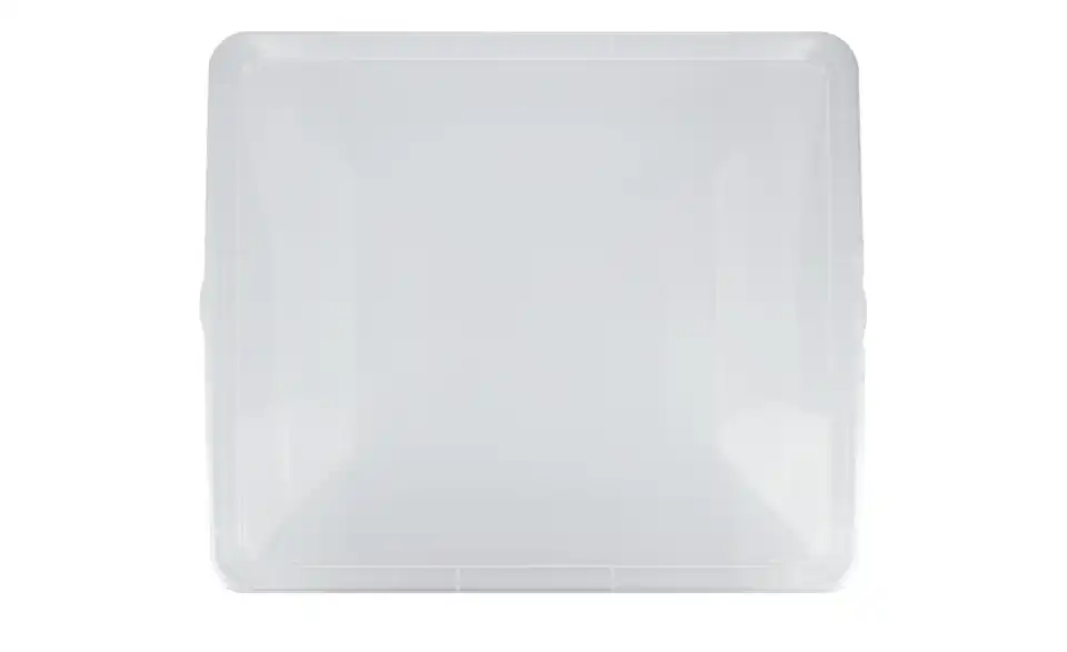Rotho Aufbewahrungsbox mit Deckel 40 cm