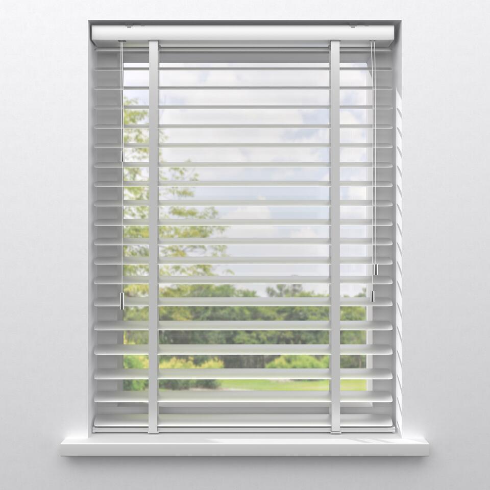 Fenstr Aluminium Jaloezie Elvi Zilver 50mm