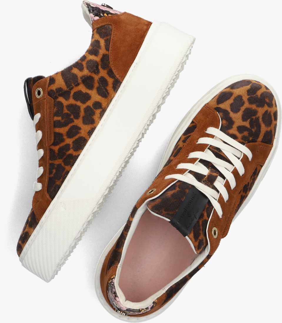 FLORIS VAN BOMMEL cognac floris van bommel lage sneakers sfw-10105