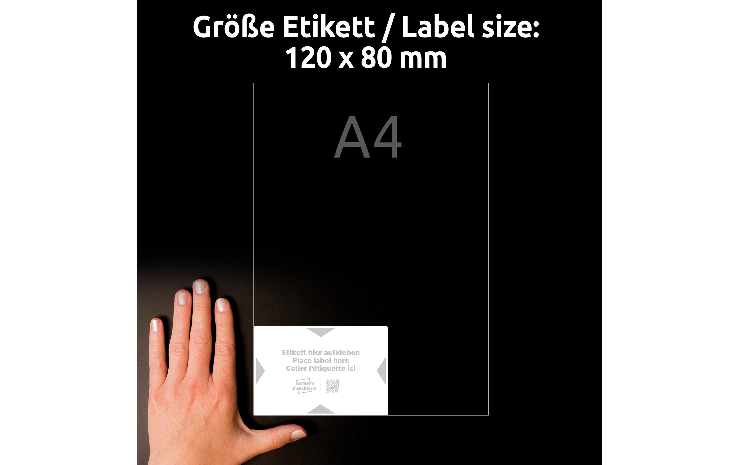 Träger-Etiketten 120 x 80 mm, 5 Blatt, 20 StückTräger-Etikett für eine Mehrfachbeklebung