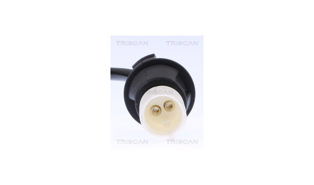ABS sensor