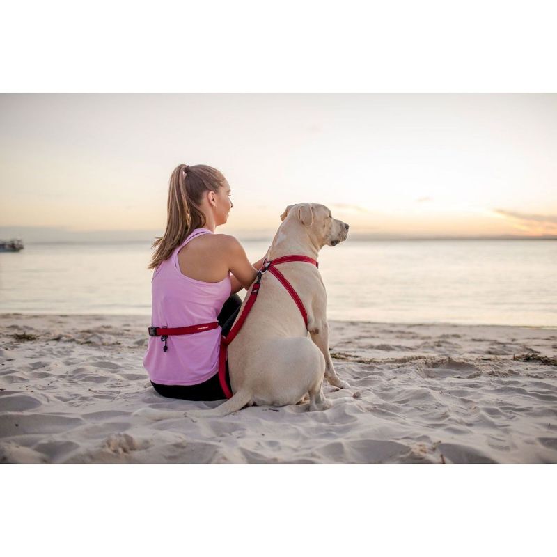 Road Runner Leash - Laisse canicross