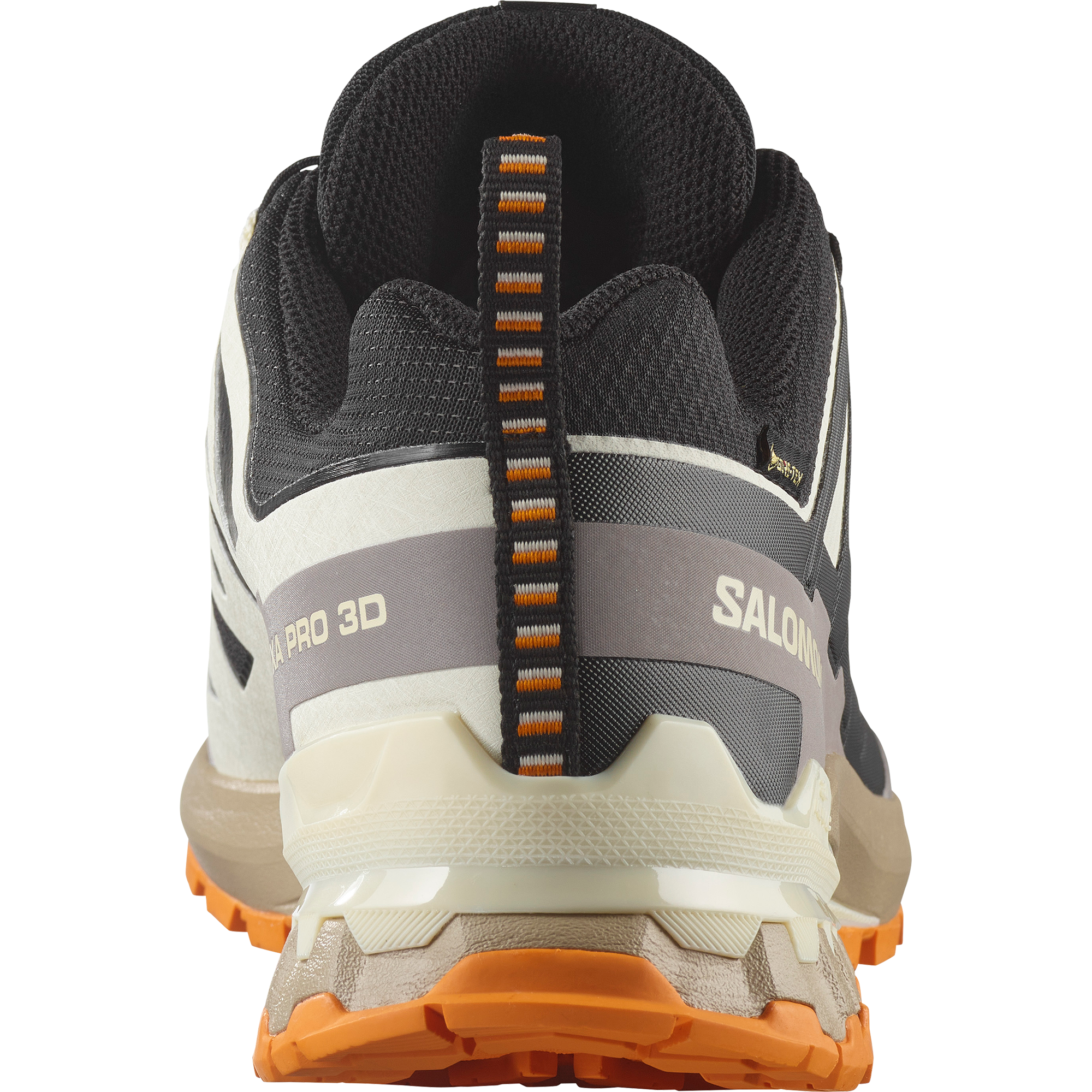 Salomon Laufschuh »XA PRO 3D V9 GORE-TEX«  wasserdicht