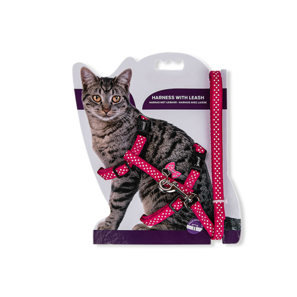 Harnais + laisse 120 cm, à pois fuchsia, réglable, pour chat.
