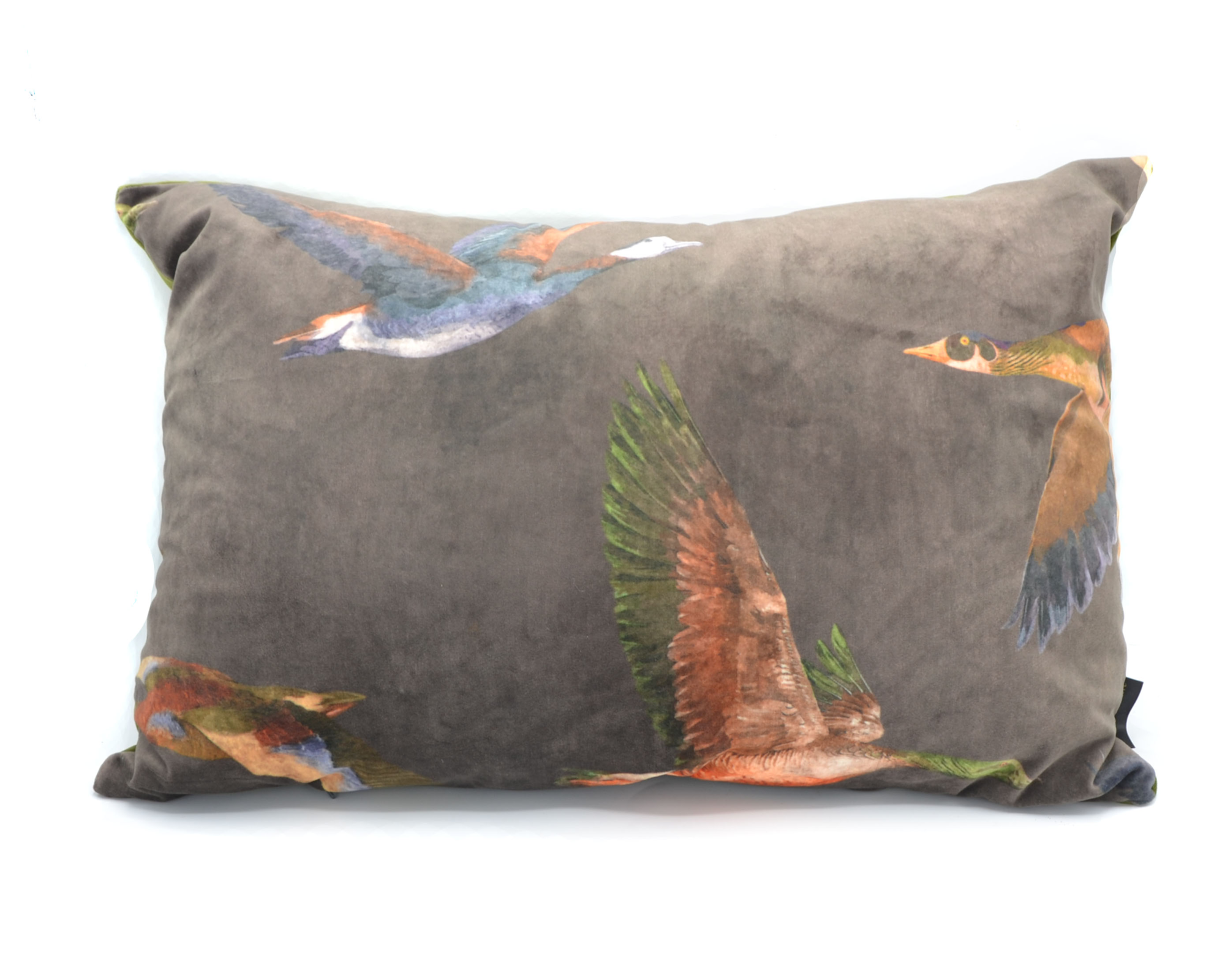 Kussen velvet wilde ganzen taupe 60 x 40 cm