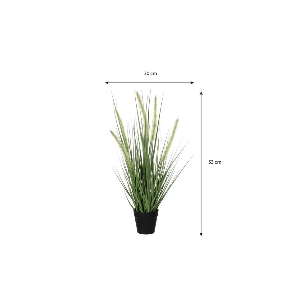 Mica Decorations Kunstplant dogtail sierplant - 53 cm - in zwart pot