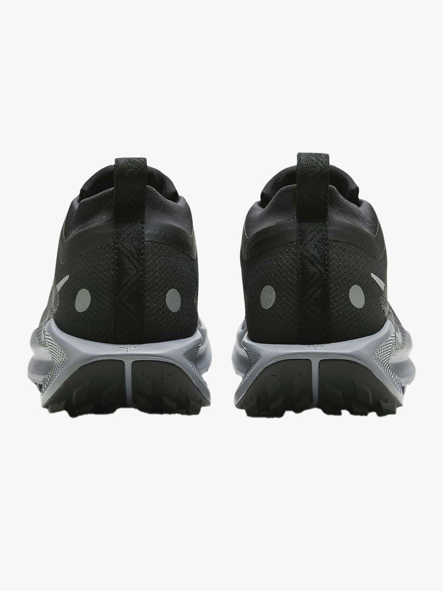Pegasus Trail 5 GTX