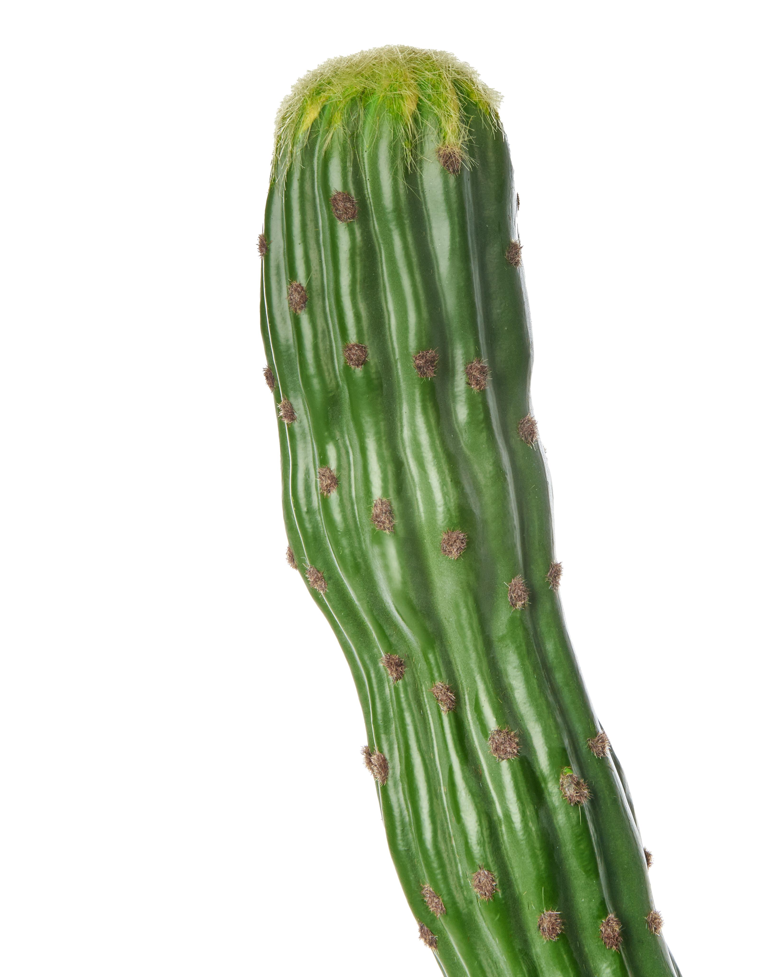 Kunstplant MAROCCO CEREUS 115 cm Groen