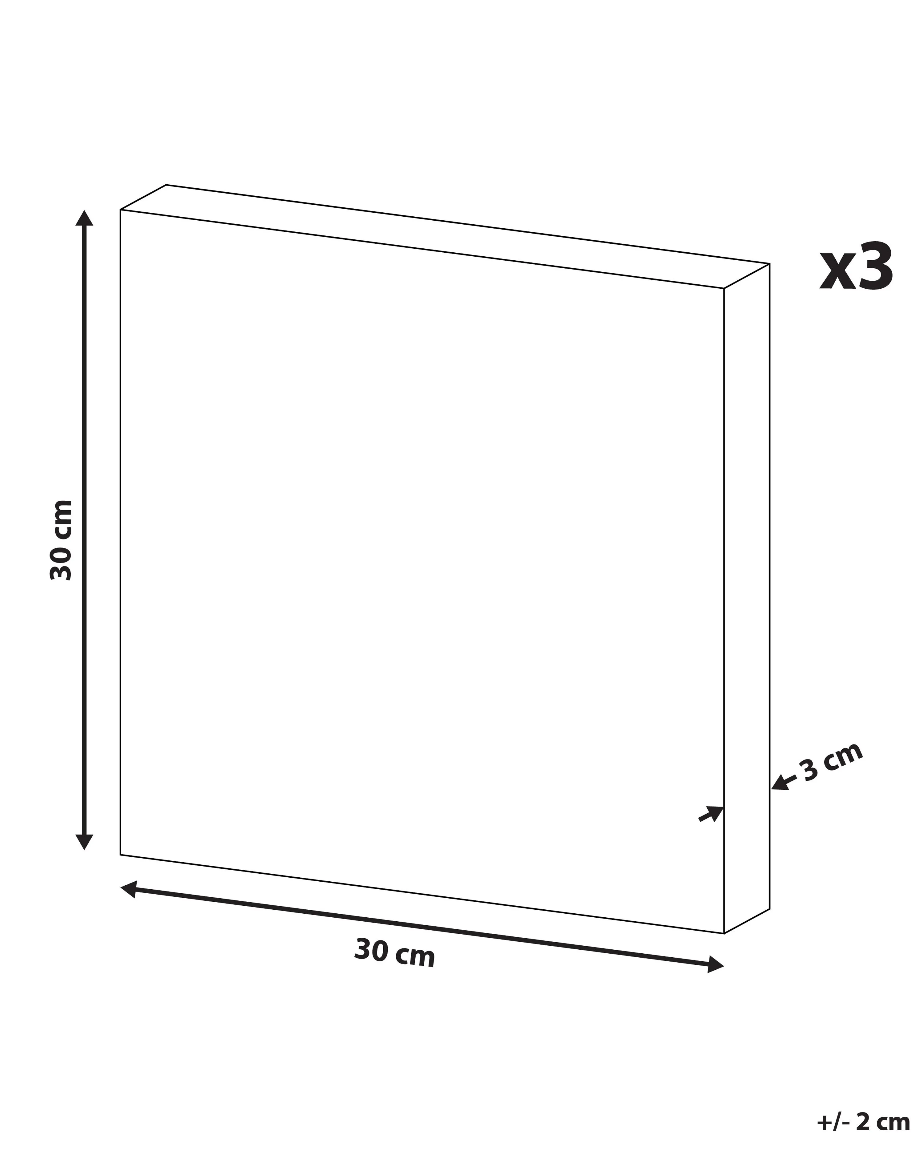Set van 3 canvassen TILLIA Dieren motief 30 x 30 cm Meerkleurig