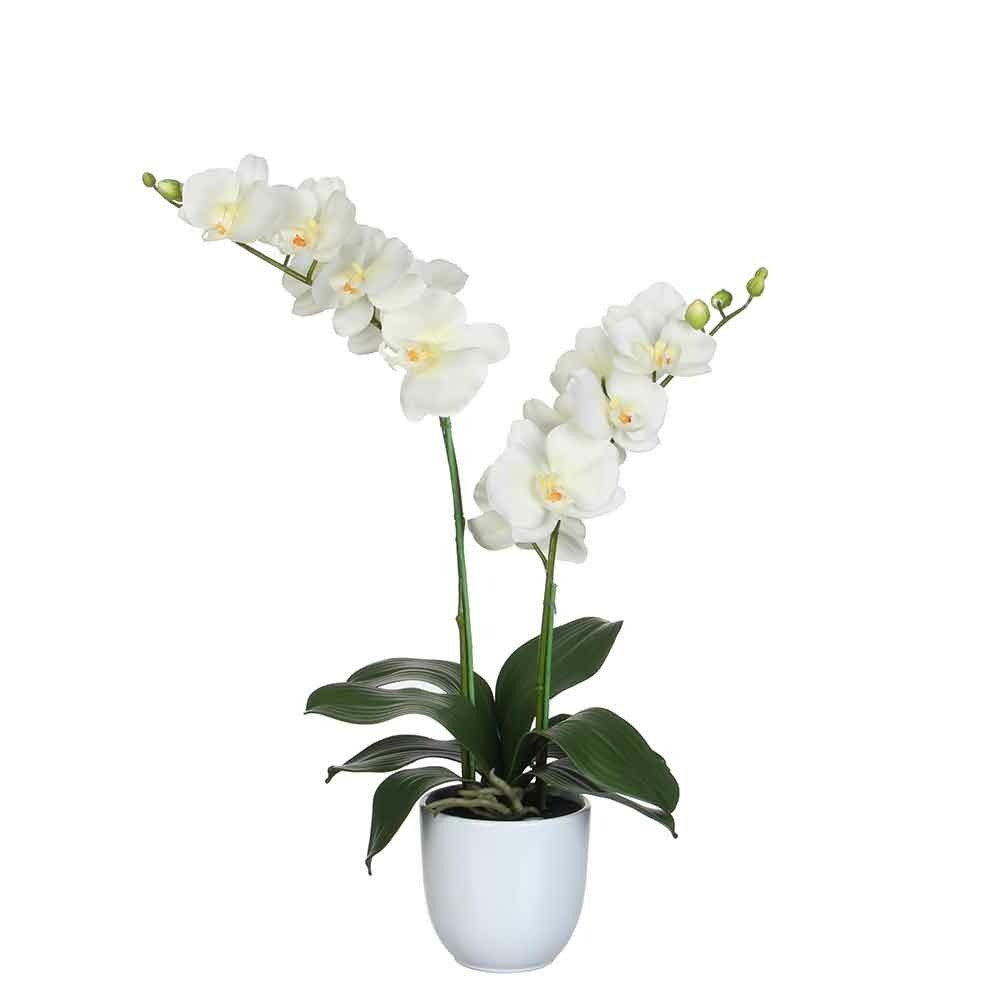 Orchidée artificielle crème en pot h50