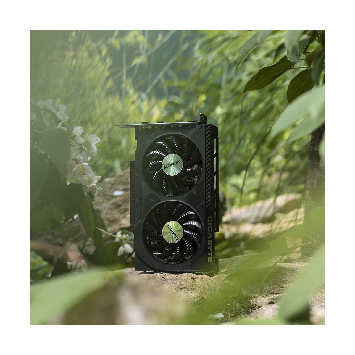 Gigabyte GeForce RTX 4060 Windforce OC grafikkort (8 GB GDDR6)