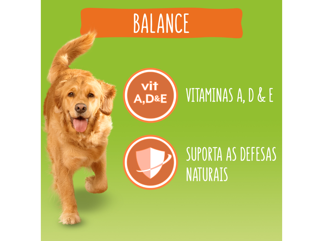 RAÇÃO PARA CÃO FRISKIES BALANCE COM FRANGO 4KG